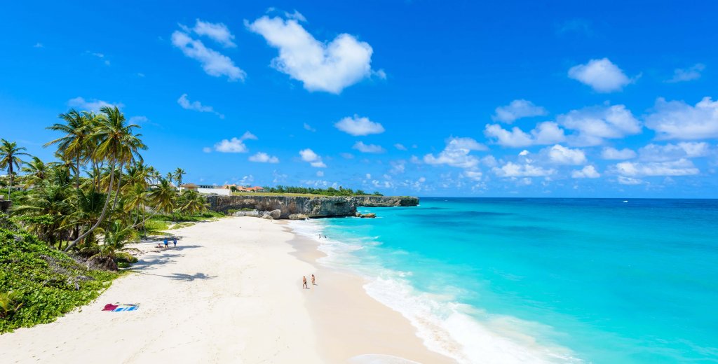 Bottom Bay, Barbados - Paradise beach on the Caribbean island of Barbados. Tropical coast with palms hanging over turquoise sea. Panoramic photo of beautiful landscape.